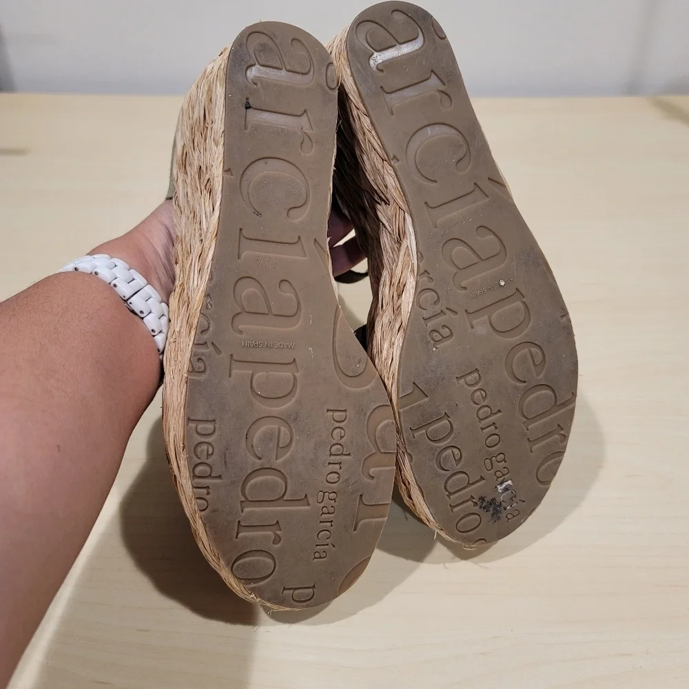 Pedro Garcia Dory Platform Espadrilles Thyme Castoro Suede Braided Jute 39.5 EU
